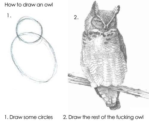How to draw an owl meme
